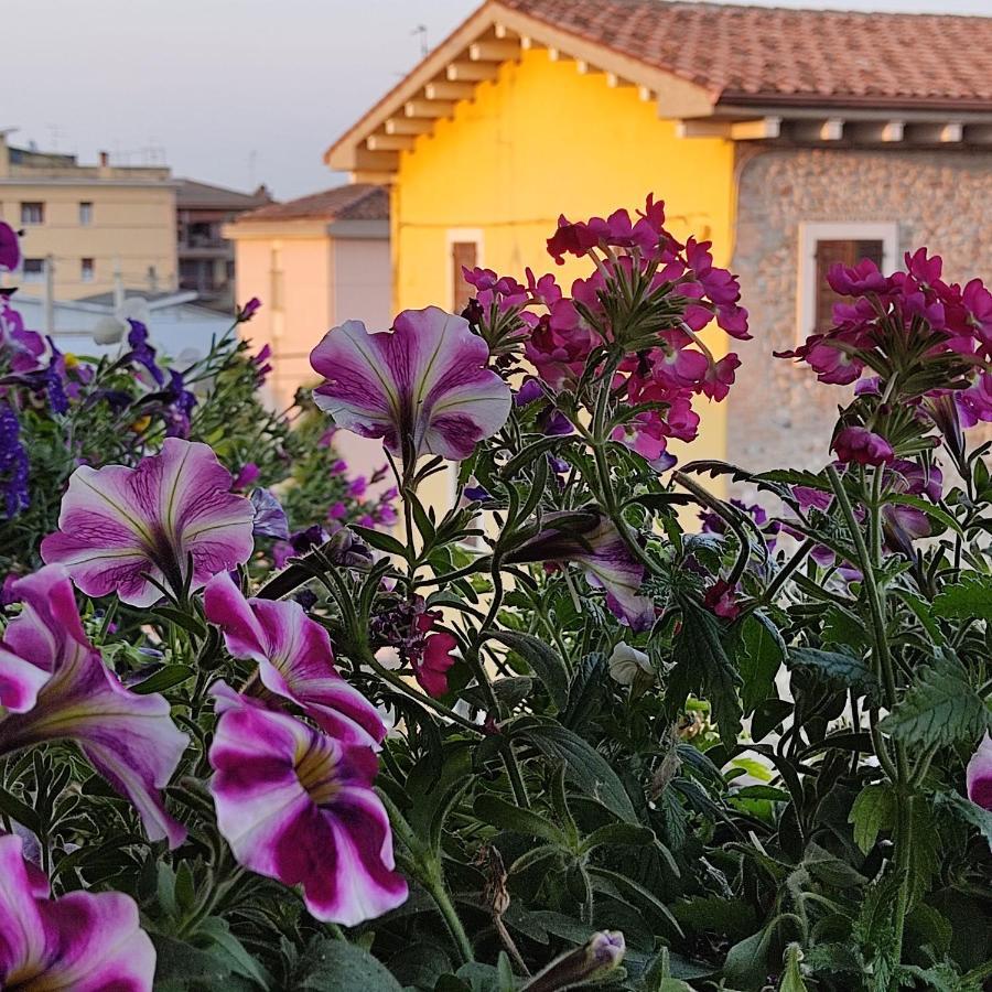 Lovely Casa Paola Villlafranca Centro Zimmer Rooms Villafranca di Verona Ngoại thất bức ảnh